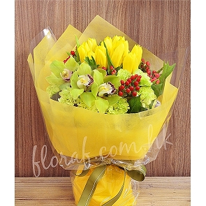 BO120  Holland Tulips + Holland Cymbidium 